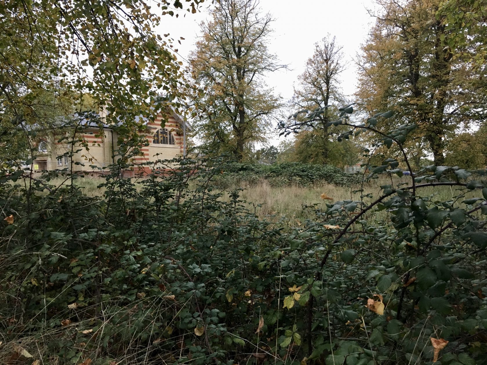 Funding The Horton Gardens Project The Horton Epsom