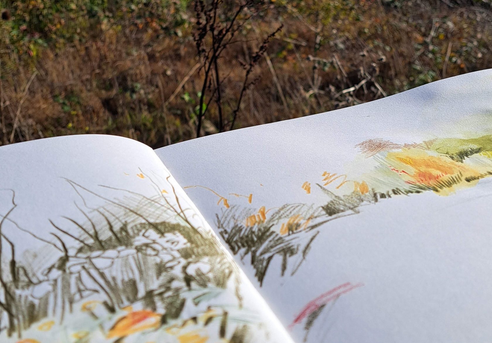 Inspired by Nature Outdoor Art Workshop