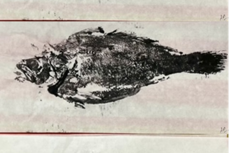 Gyotaku Fish Printing Workshop