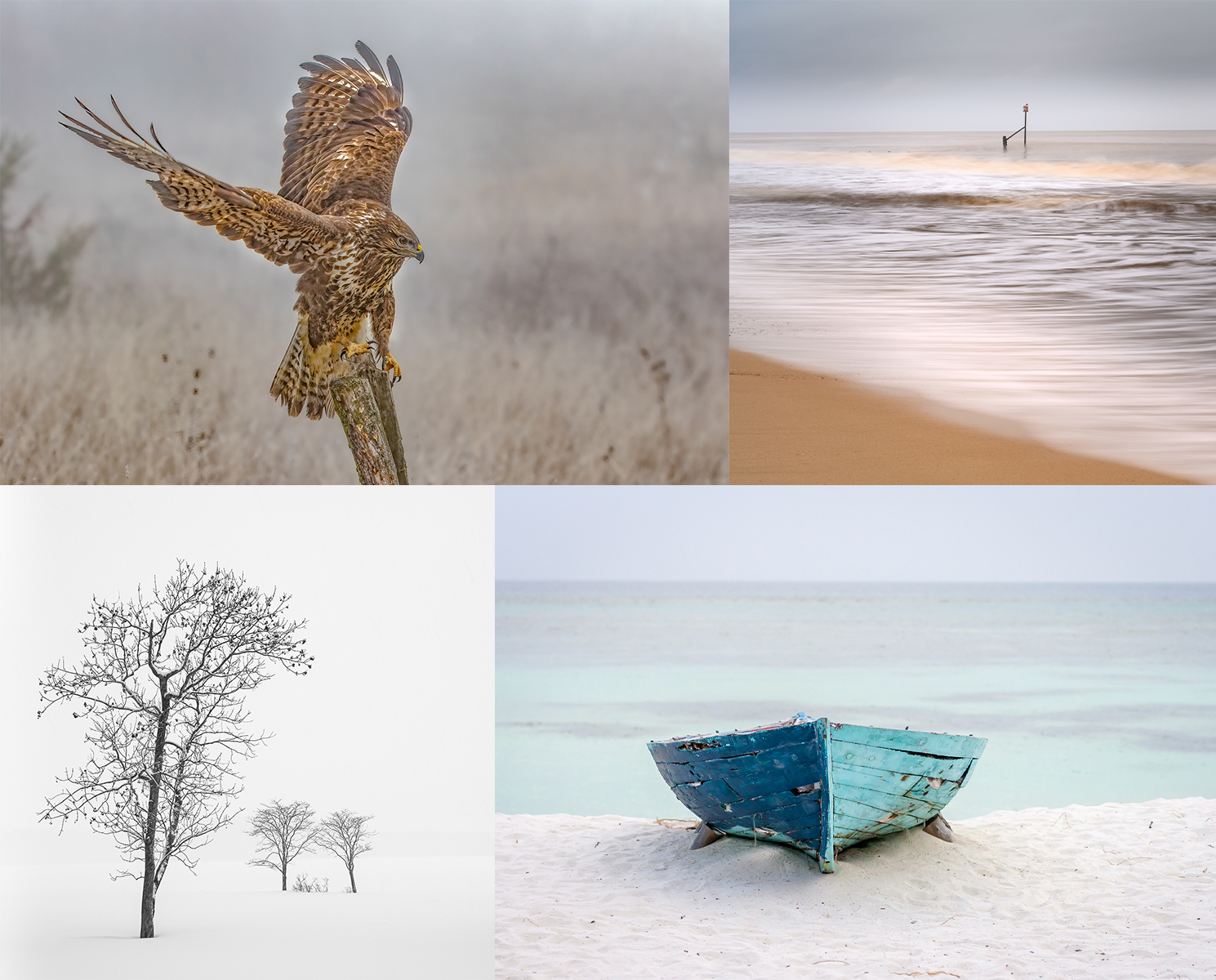 Epsom Camera Club Exhibition 2025