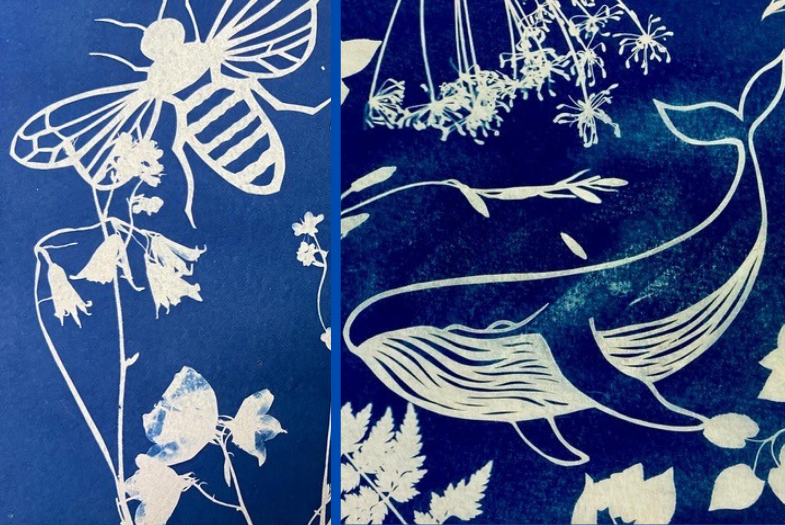 Cyanotype and paper cutting workshop