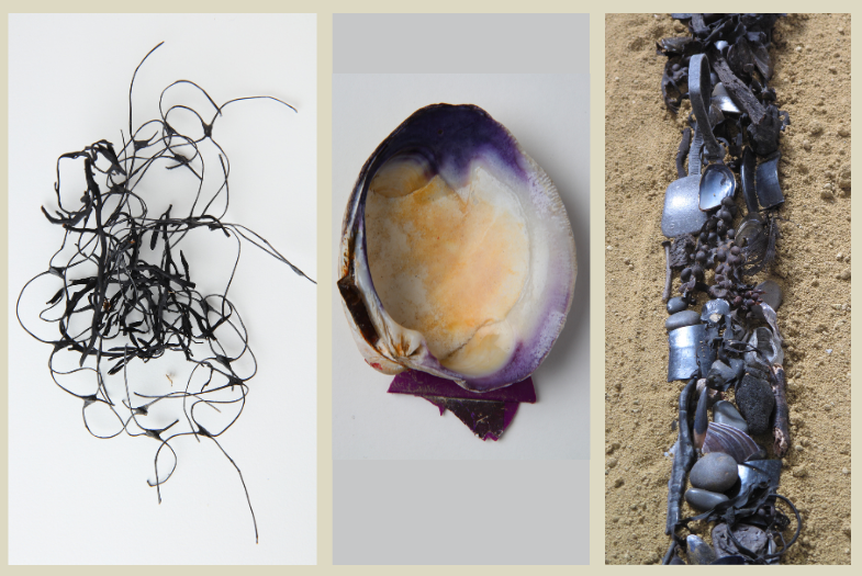 Drawing a Line Exhibition