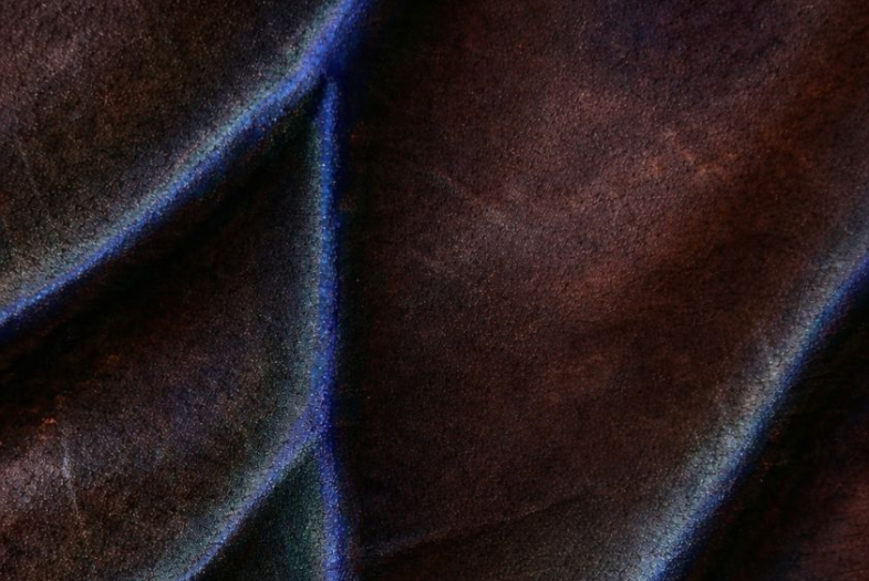 Exhibition: Bodily Matters