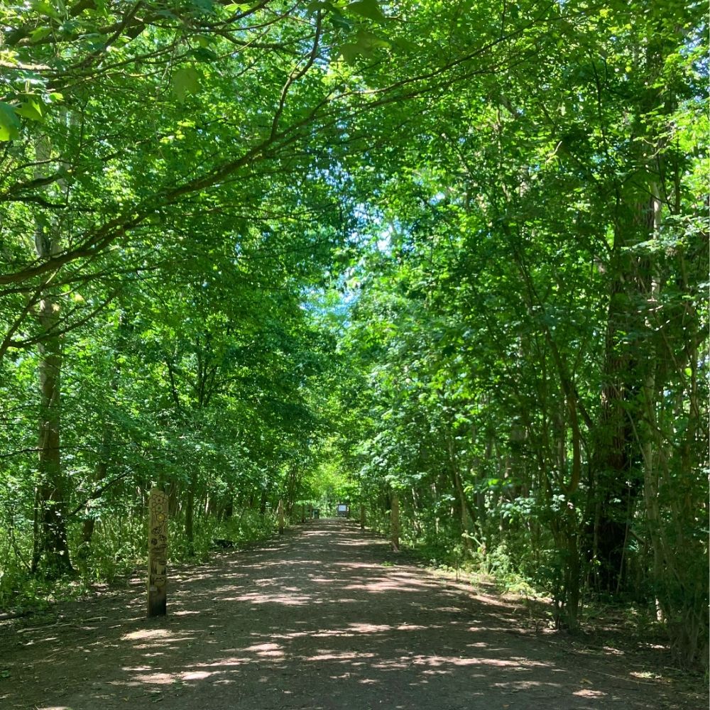 Horton Country Park