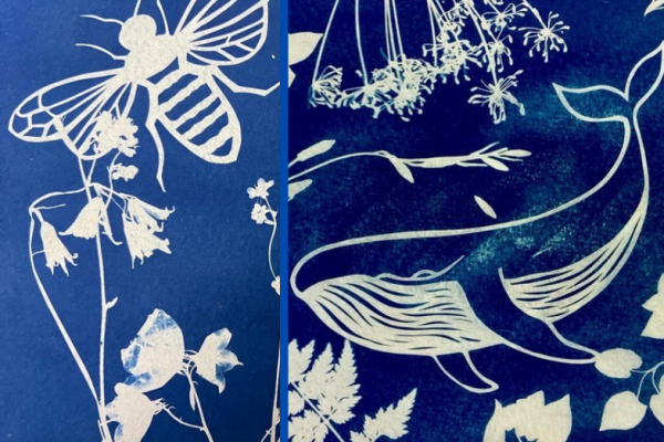 Cyanotype and paper cutting workshop Cyanotype and paper cutting workshop