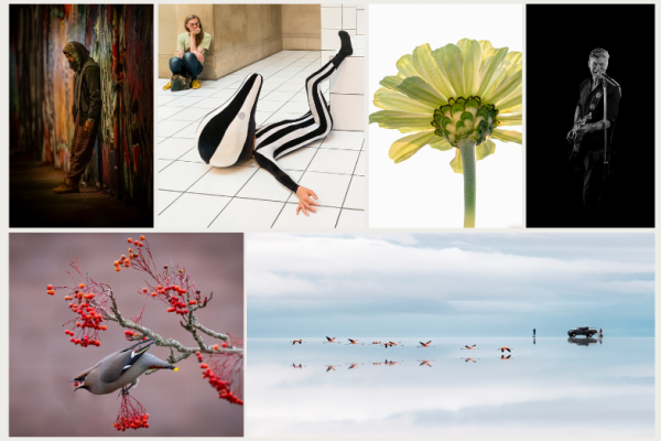 Epsom Camera Club Exhibition 2026