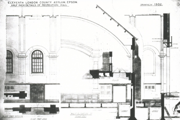 The Architecture of Epsom's Hospital Cluster: Rise and Fall 1899 - 2021